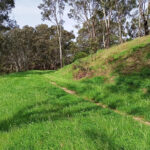 FMV Online - Flooding of Maribyrnong River - October 2022 - Marcus Wintel's Site - Caroline Chisholm