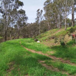 FMV Online - Flooding of Maribyrnong River - October 2022 - Marcus Wintel's Site at Caroline Chisholm Reserve, Keilor
