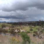 FMV Online - Floods - October 2022 - Lily St Looking towards the Defence Site