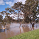 FMV Online - Floods - October 2022 - Looking towards Thornbury Park
