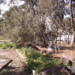FMV Online - Floods - October 2022 - Pipemakers Park