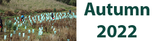FMV Online - Newsletter - Autumn 2022