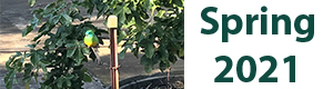 FMV Online - Newsletter - Spring 2021