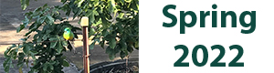 FMV Online - Newsletter - Spring 2022
