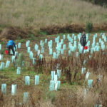 FMV Online - Victorian Landcare Grants Page